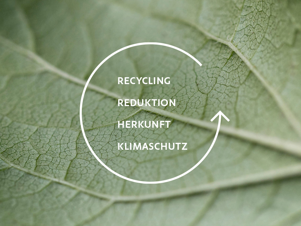 Close-up eines Blattes mit den Gertraud Gruber Nachhaltigkeitskriterien: Recycling, Reduktion, Herkunft und Klimaschutz