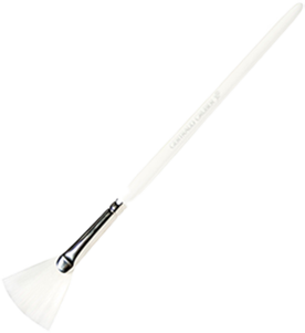 FÄCHERPINSEL